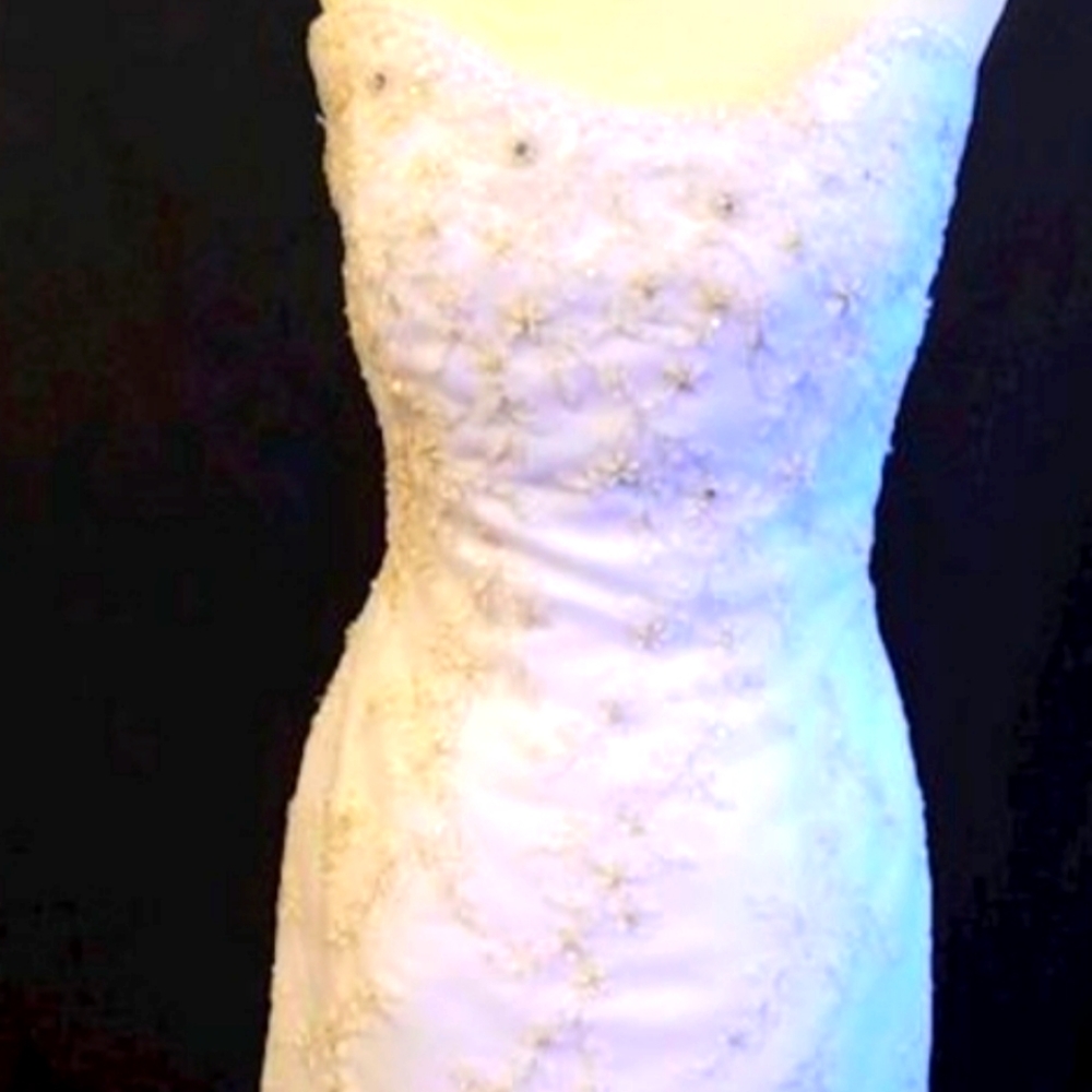 Casa Blanca size 12 wedding dress